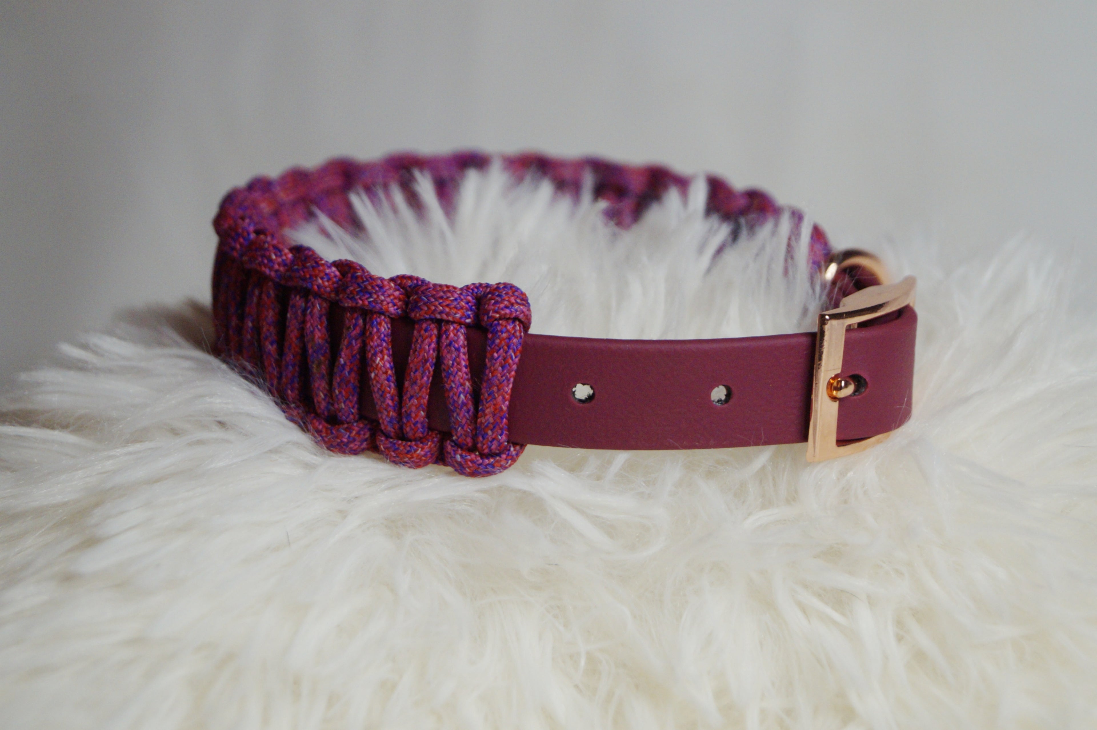 Collier Tressé Chien Paracorde Biothane - Hypoallergénique Ajustable Fait Main