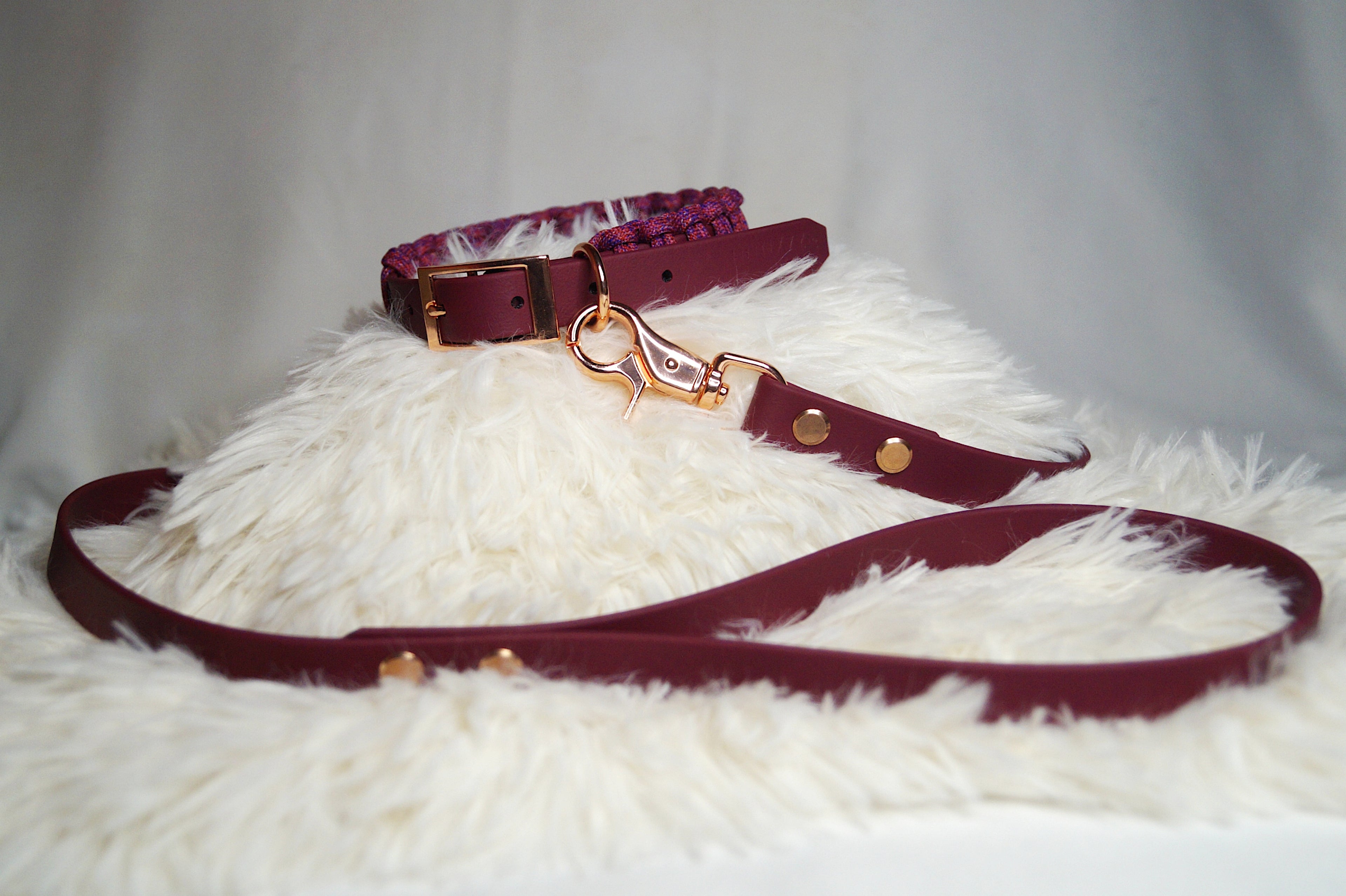 Ensemble Collier Laisse Tressé Chien Paracorde Biothane - Hypoallergénique Fait Main