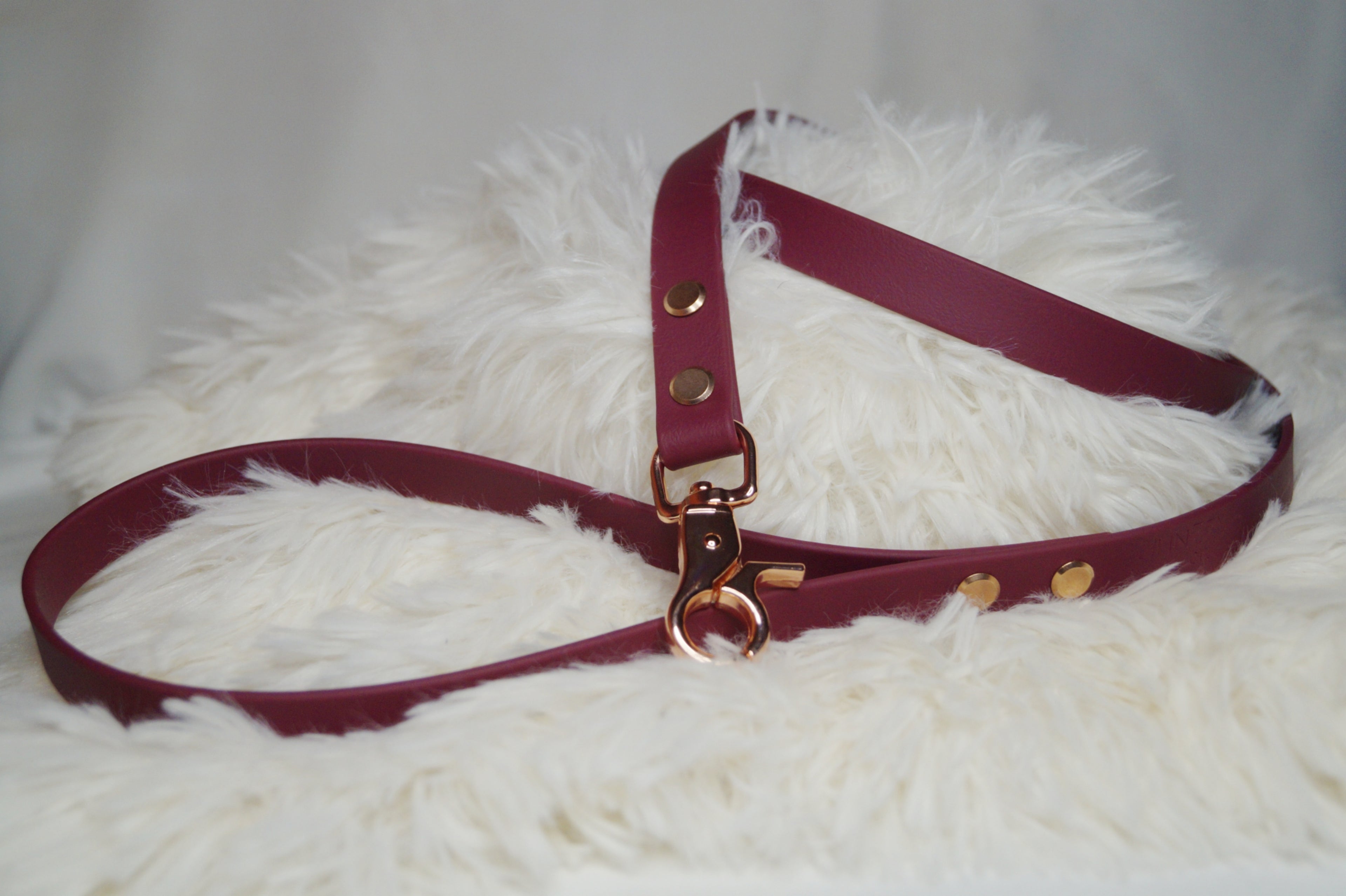 Ensemble Collier Laisse Tressé Chien Paracorde Biothane - Hypoallergénique Fait Main