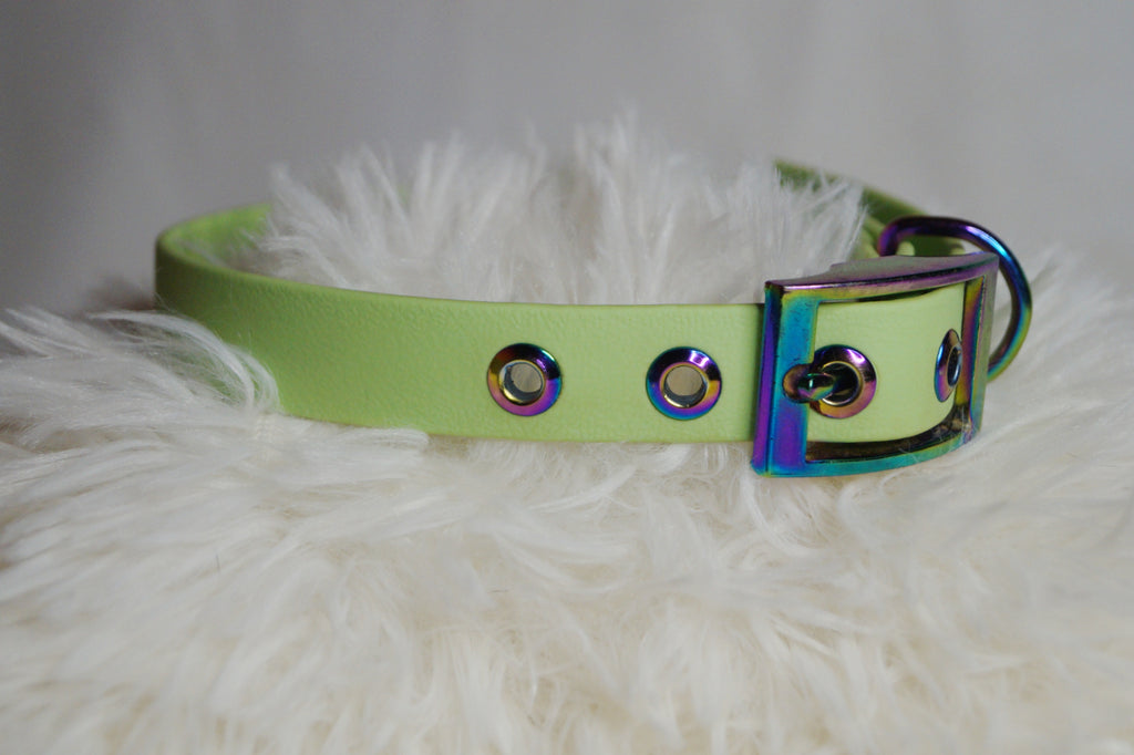 Collier Chien Biothane Néochrome - Élégant et Hypoallergénique Fait Main