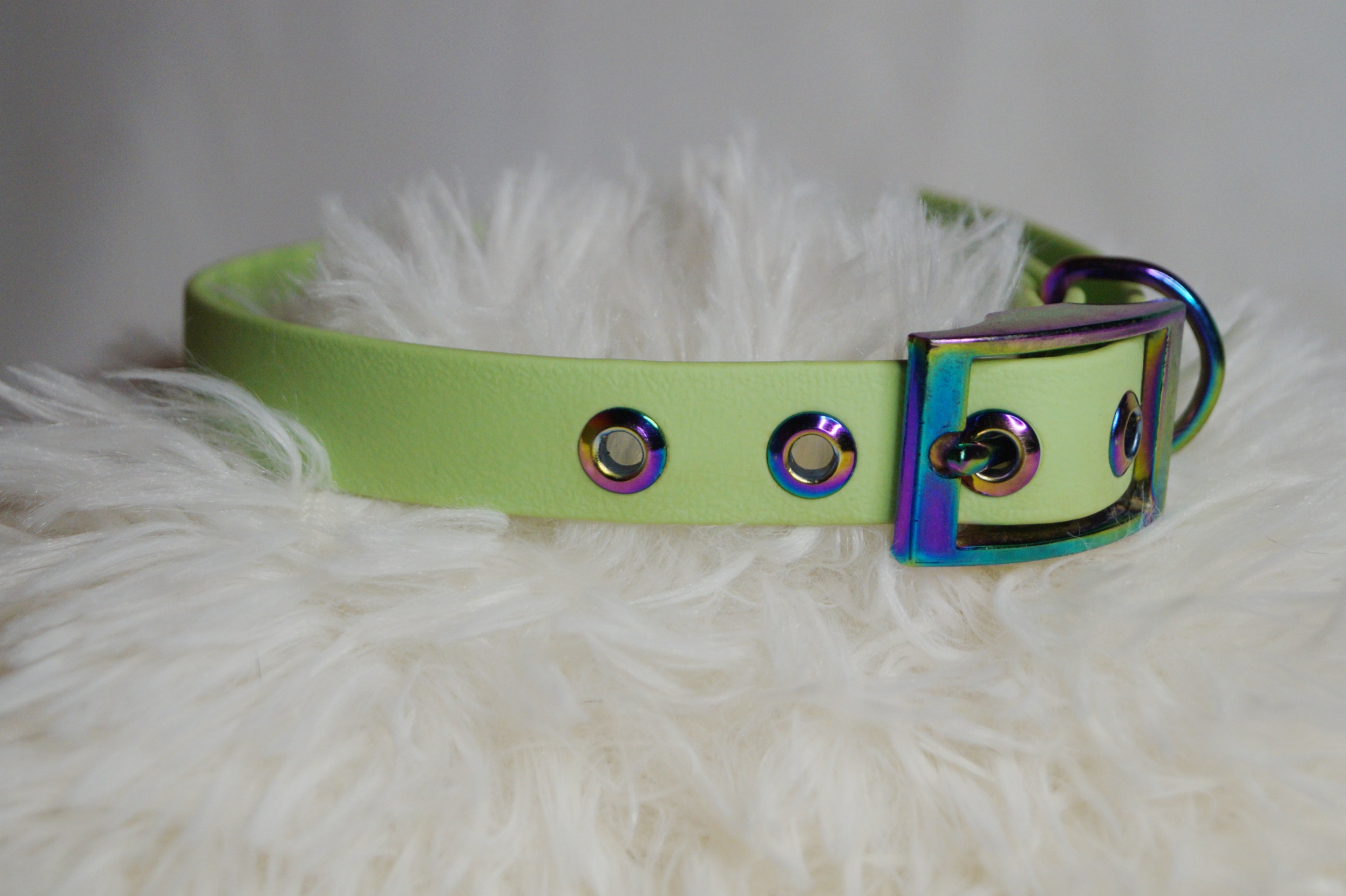 Collier Chien Biothane Néochrome - Élégant et Hypoallergénique Fait Main