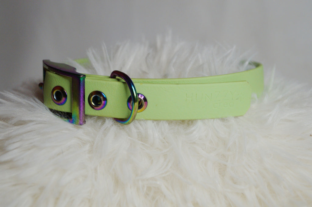 Collier Chien Biothane Néochrome - Élégant et Hypoallergénique Fait Main