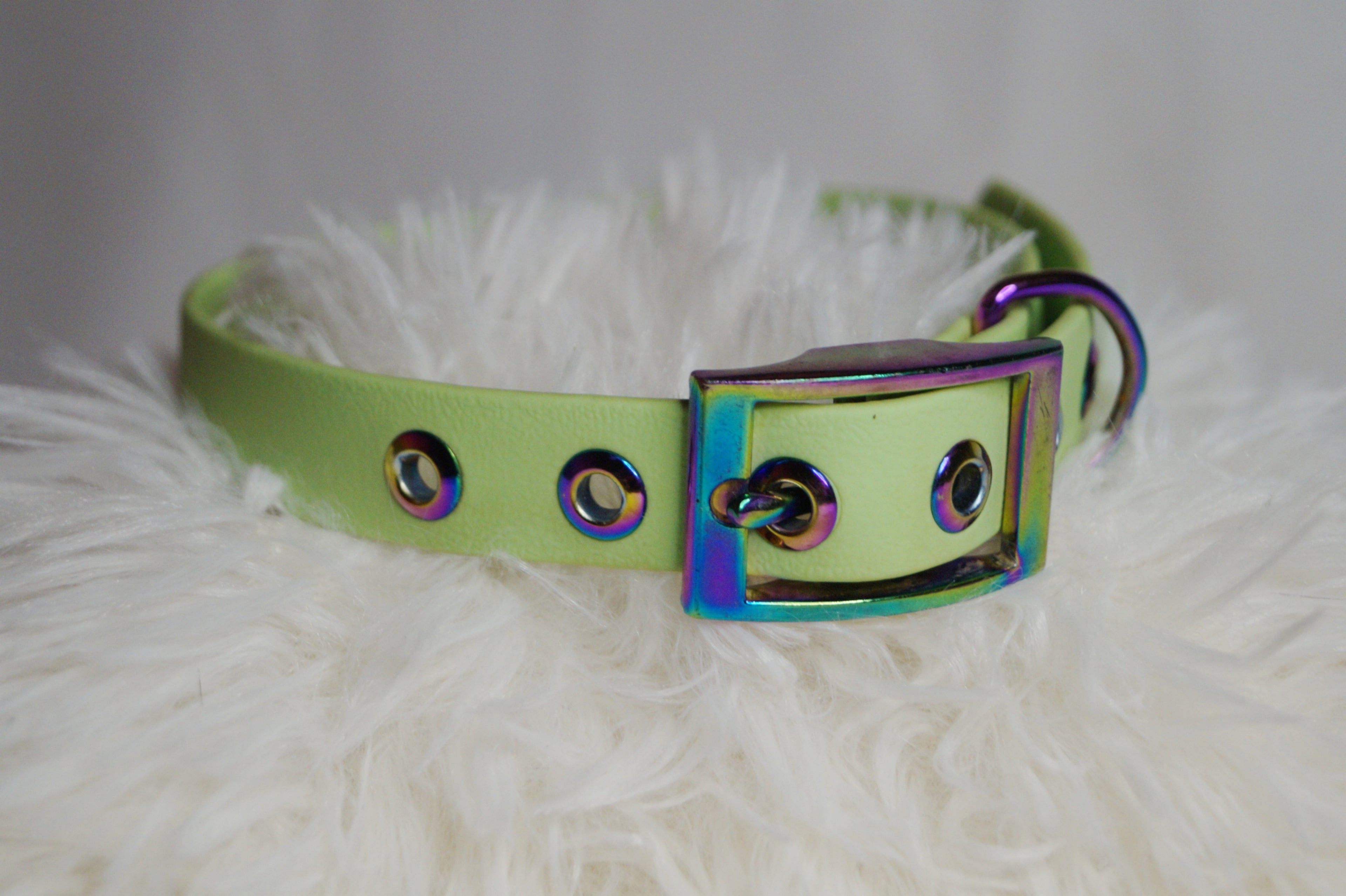 Collier Chien Biothane Néochrome - Élégant et Hypoallergénique Fait Main