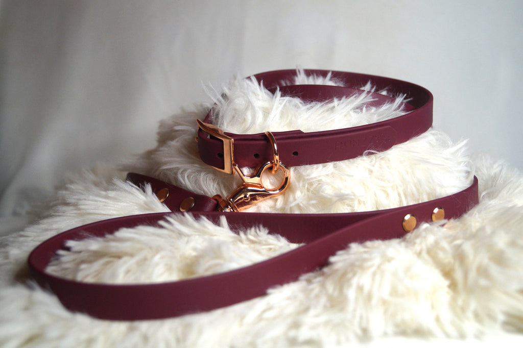 Simple handmade dog collar and leash set