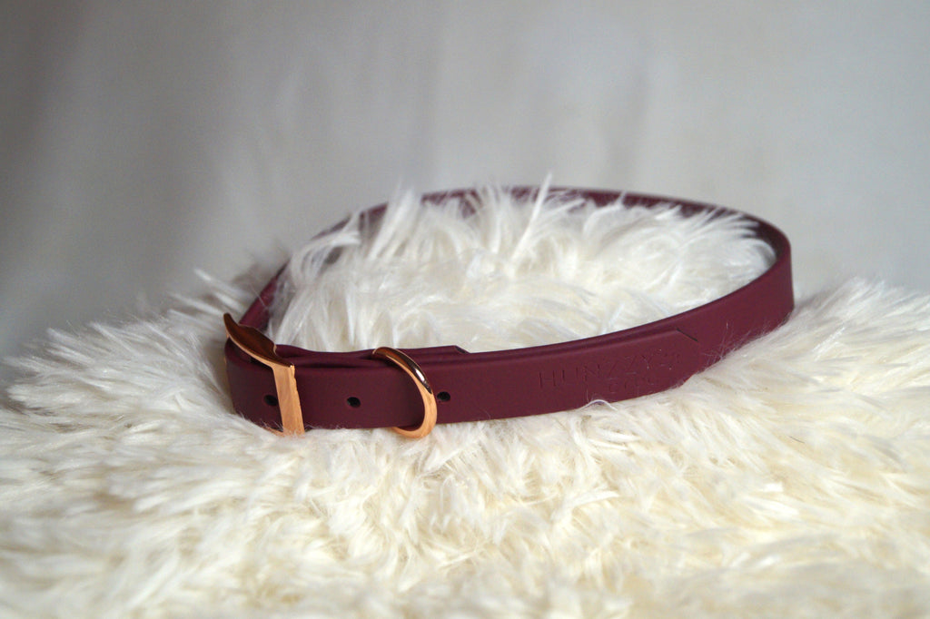 Collier Chien Biothane Imperméable - Résistant et Facile d'Entretien Fait Main