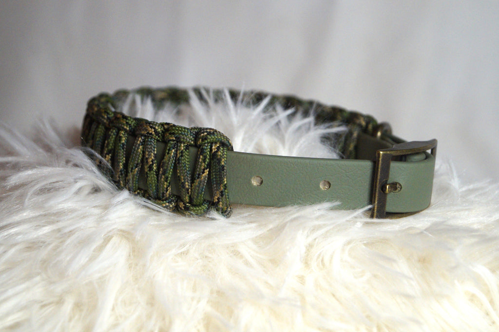 Ensemble Collier Laisse Tressé Chien Paracorde Biothane - Hypoallergénique Fait Main