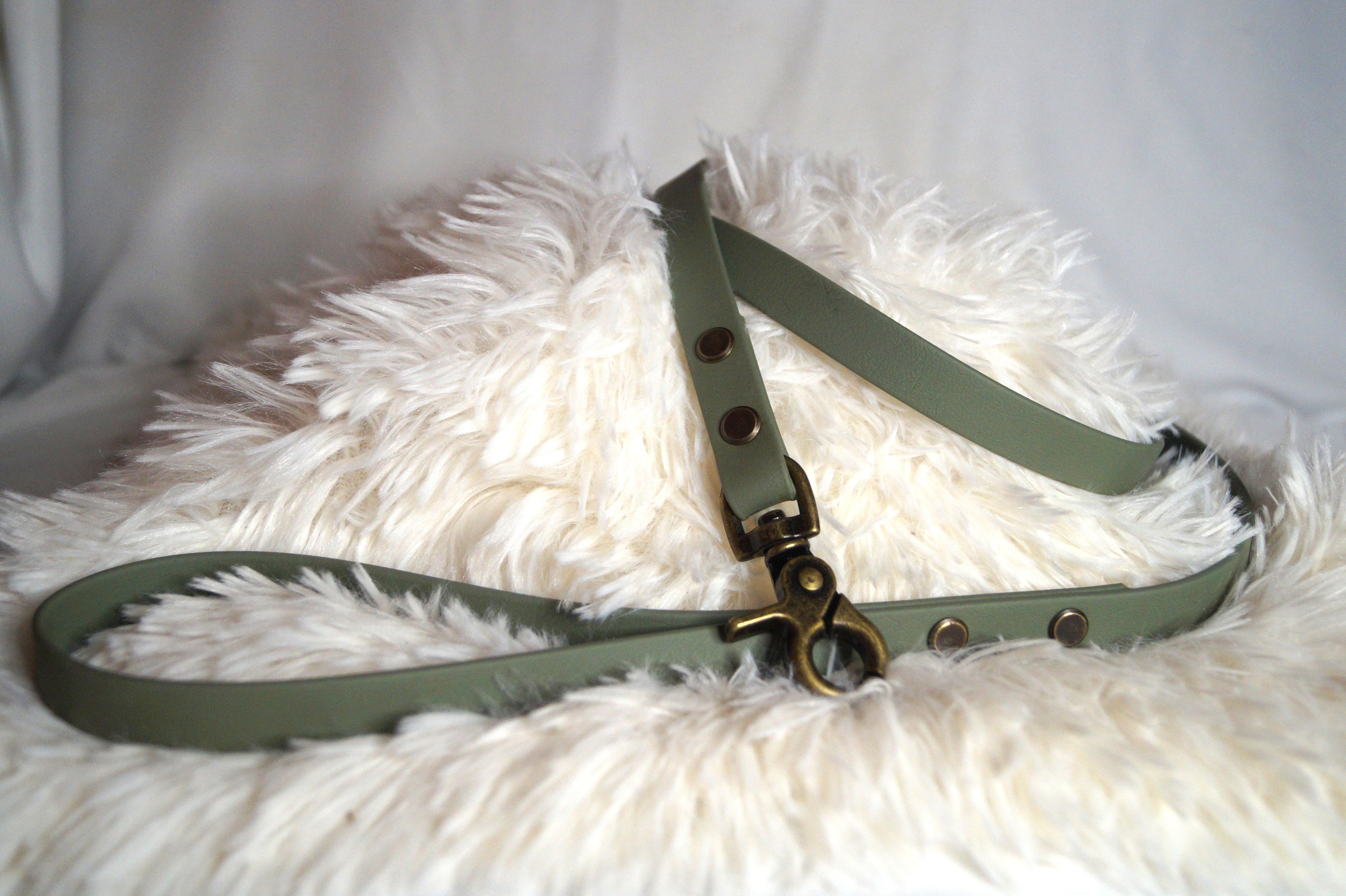 Ensemble Collier Laisse Tressé Chien Paracorde Biothane - Hypoallergénique Fait Main