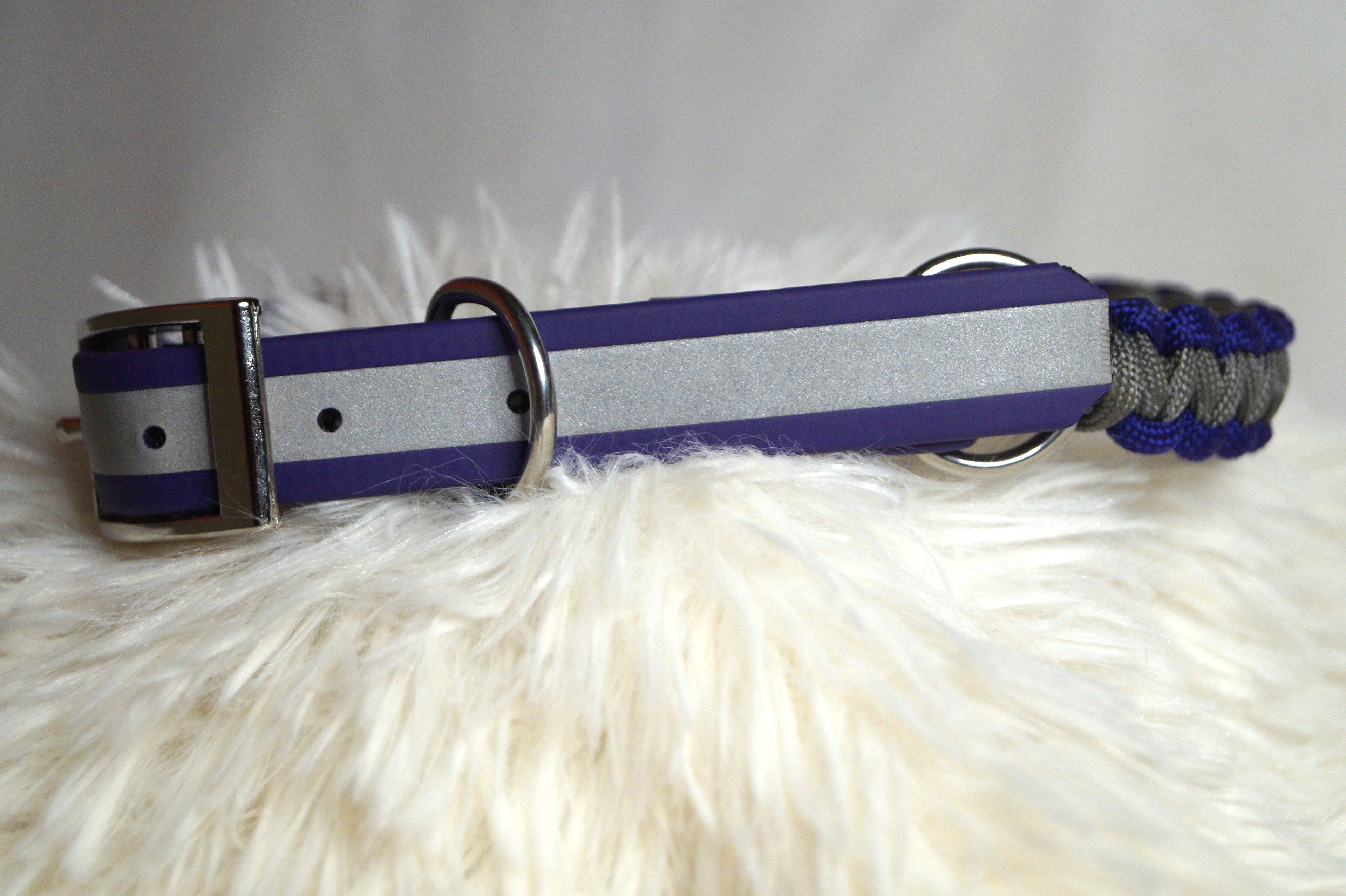 Collier Réfléchissant Chien Biothane - Sécurité Nocturne Fait Main France