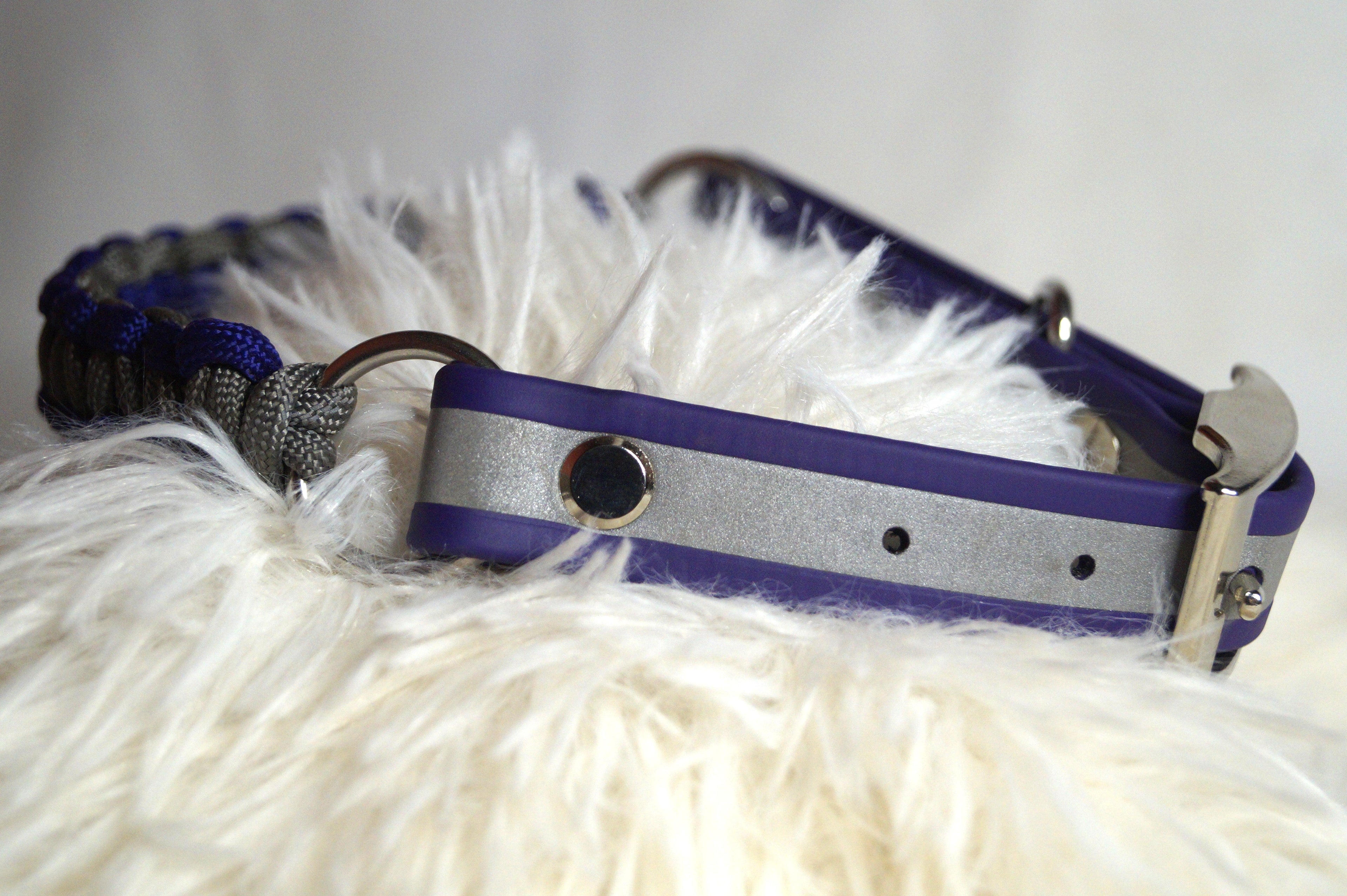 Collier Réfléchissant Chien Biothane - Sécurité Nocturne Fait Main France