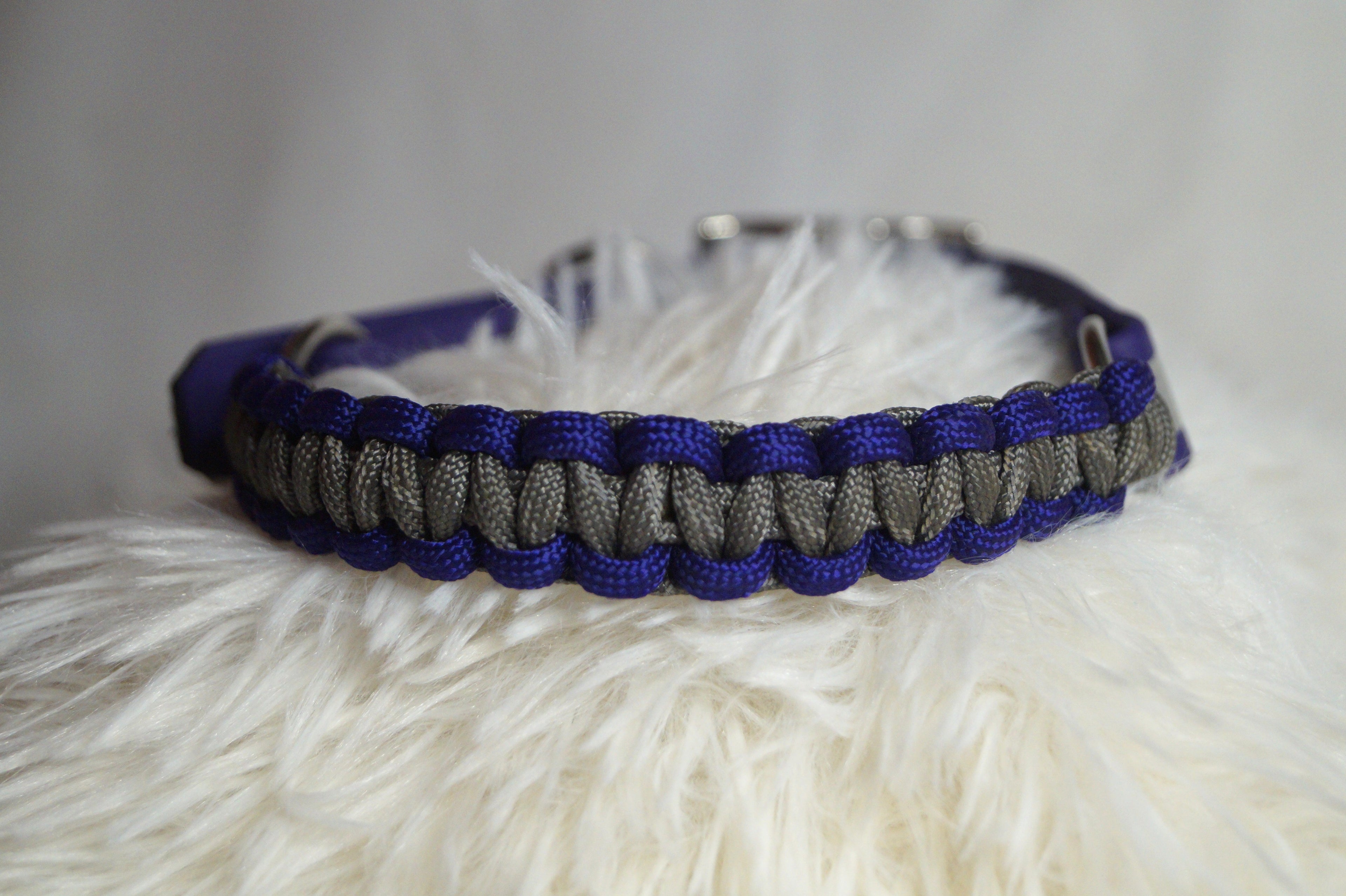 Collier Réfléchissant Chien Biothane - Sécurité Nocturne Fait Main France