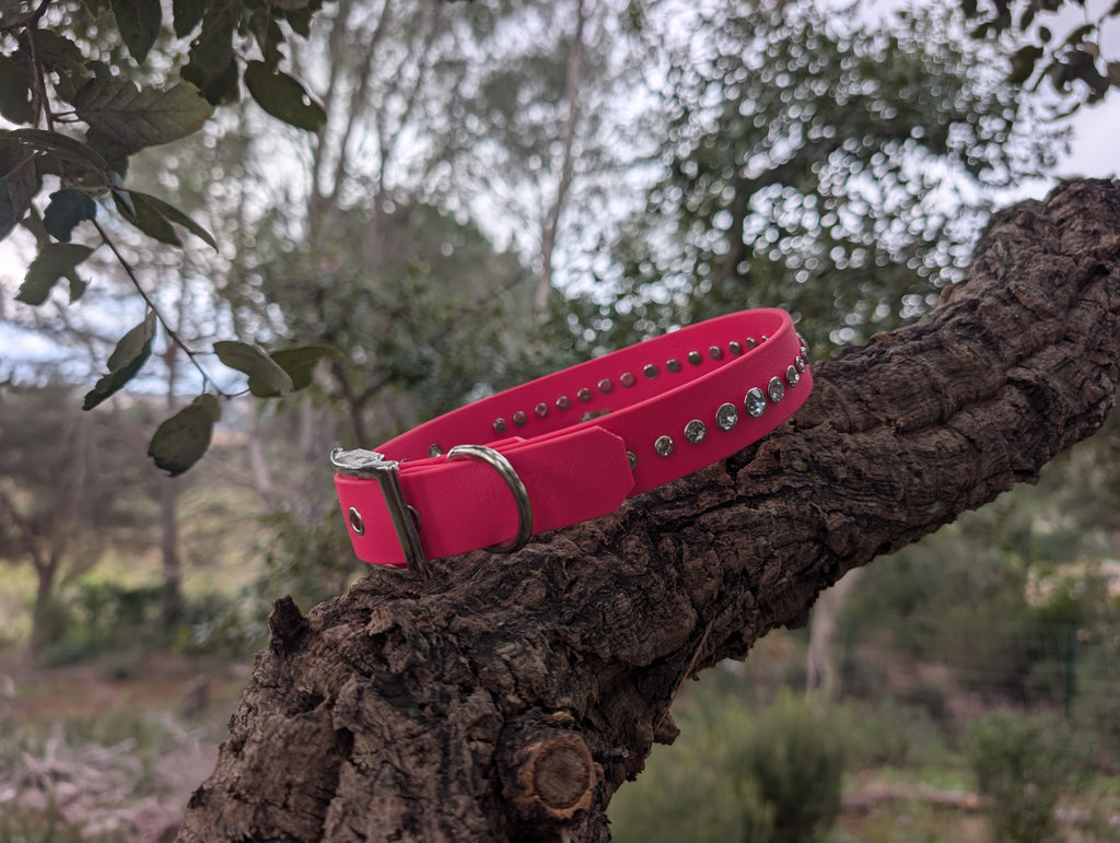 Collier Artisanal Premium pour Chien Élégant- Fabrication Française