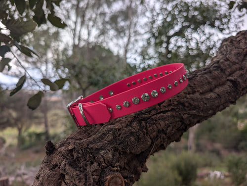 Collier Artisanal Premium pour Chien Élégant- Fabrication Française