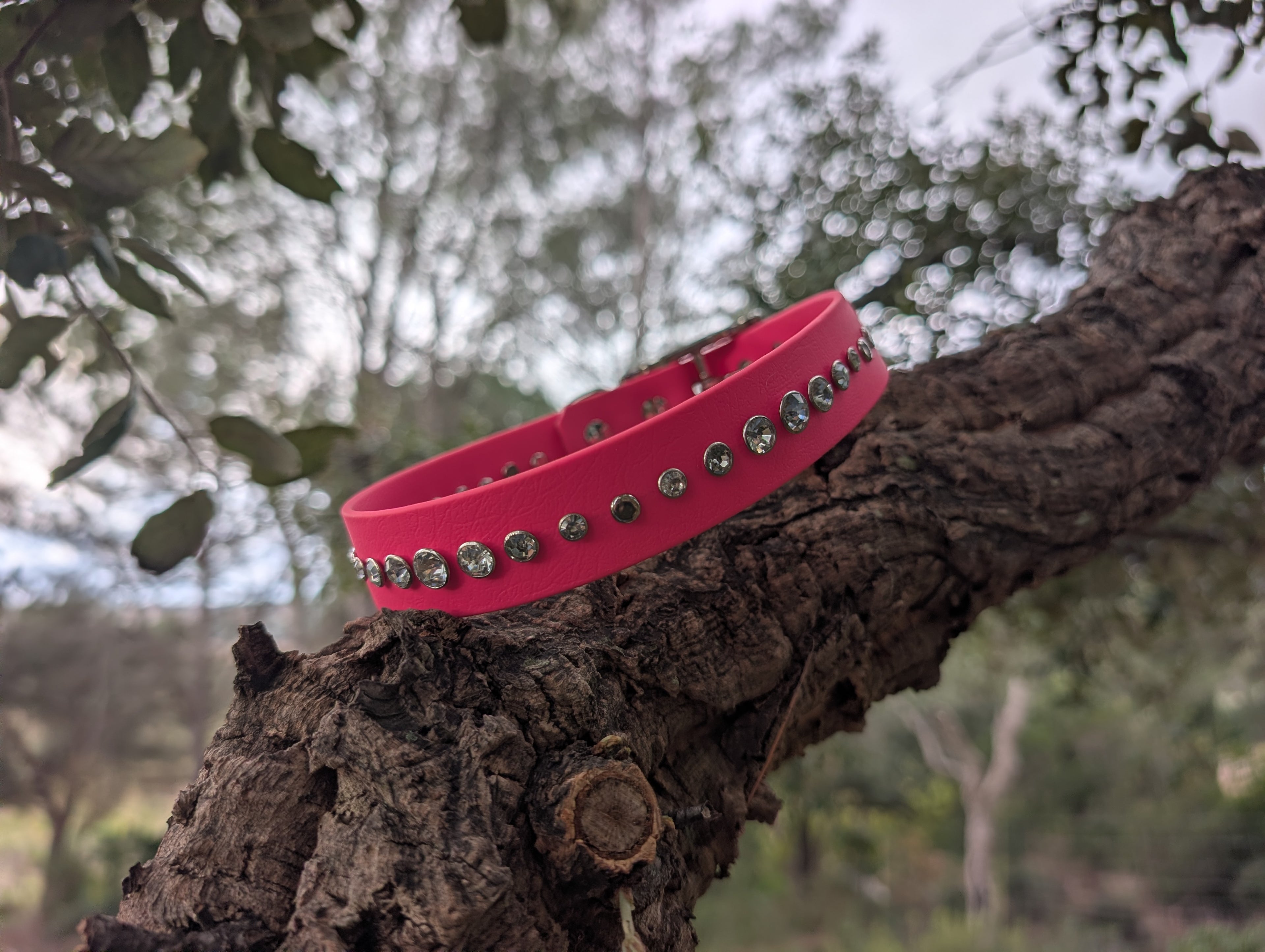 Collier Artisanal Premium pour Chien Élégant- Fabrication Française