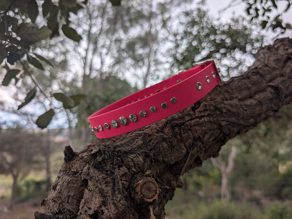 Collier Artisanal Premium pour Chien Élégant- Fabrication Française
