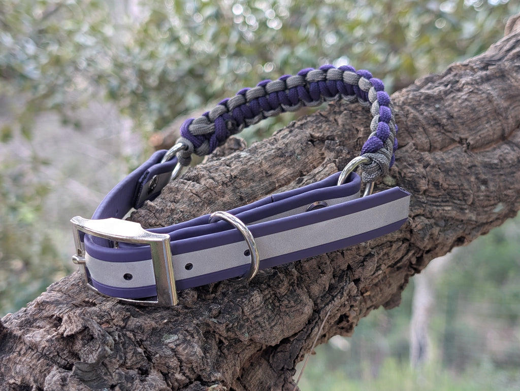 Collier Chien Réfléchissant Biothane - Sécurité Nocturne Imperméable Fait Main