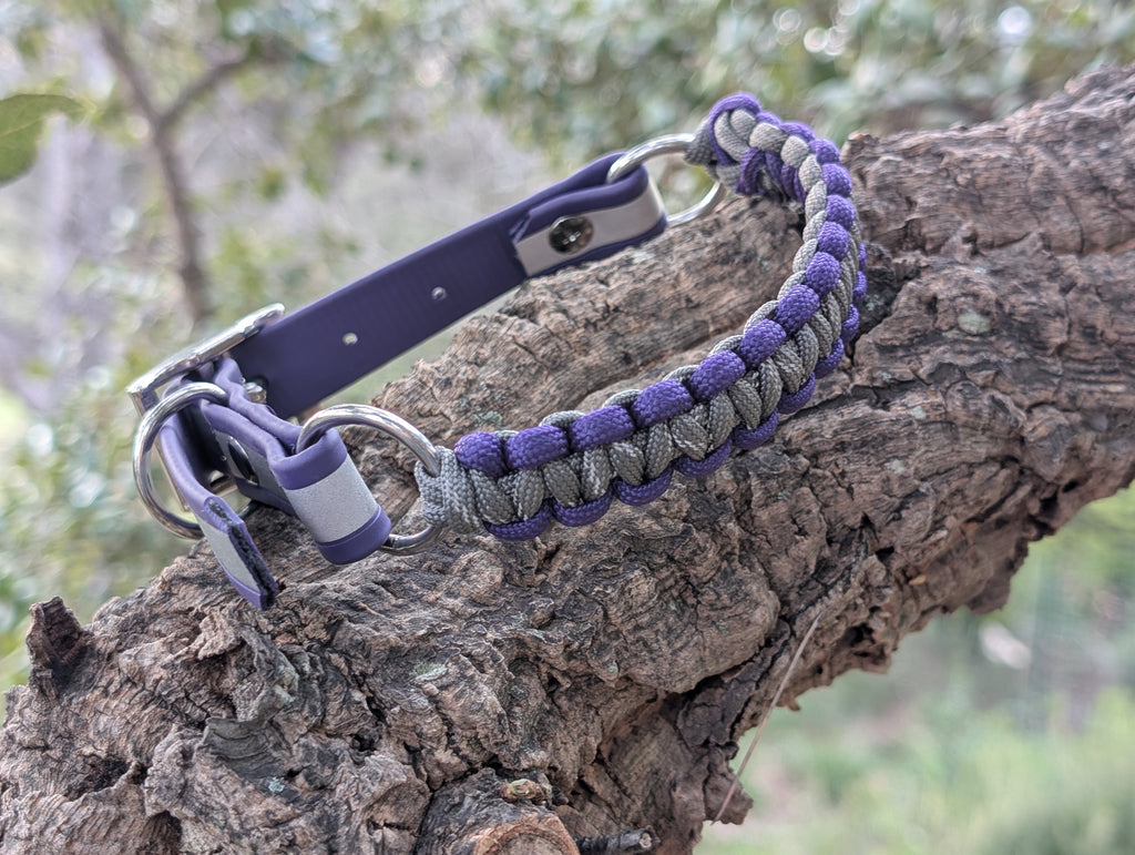 Collier Chien Réfléchissant Biothane - Sécurité Nocturne Imperméable Fait Main