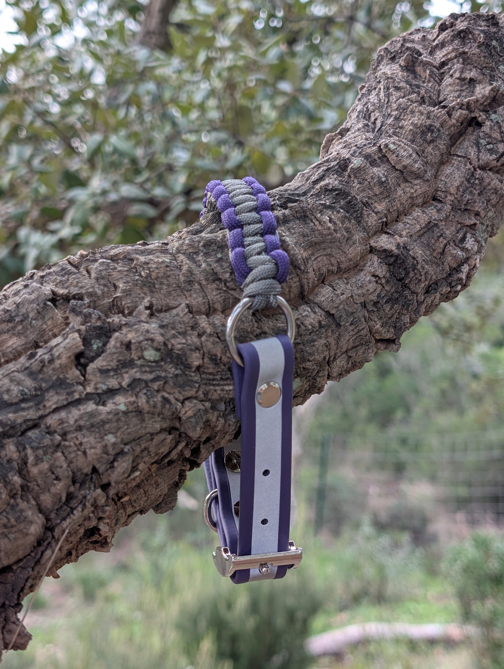 Collier Chien Réfléchissant Biothane - Sécurité Nocturne Imperméable Fait Main