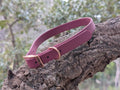 Collier Chien Biothane Imperméable - Résistant et Facile d'Entretien Fait Main