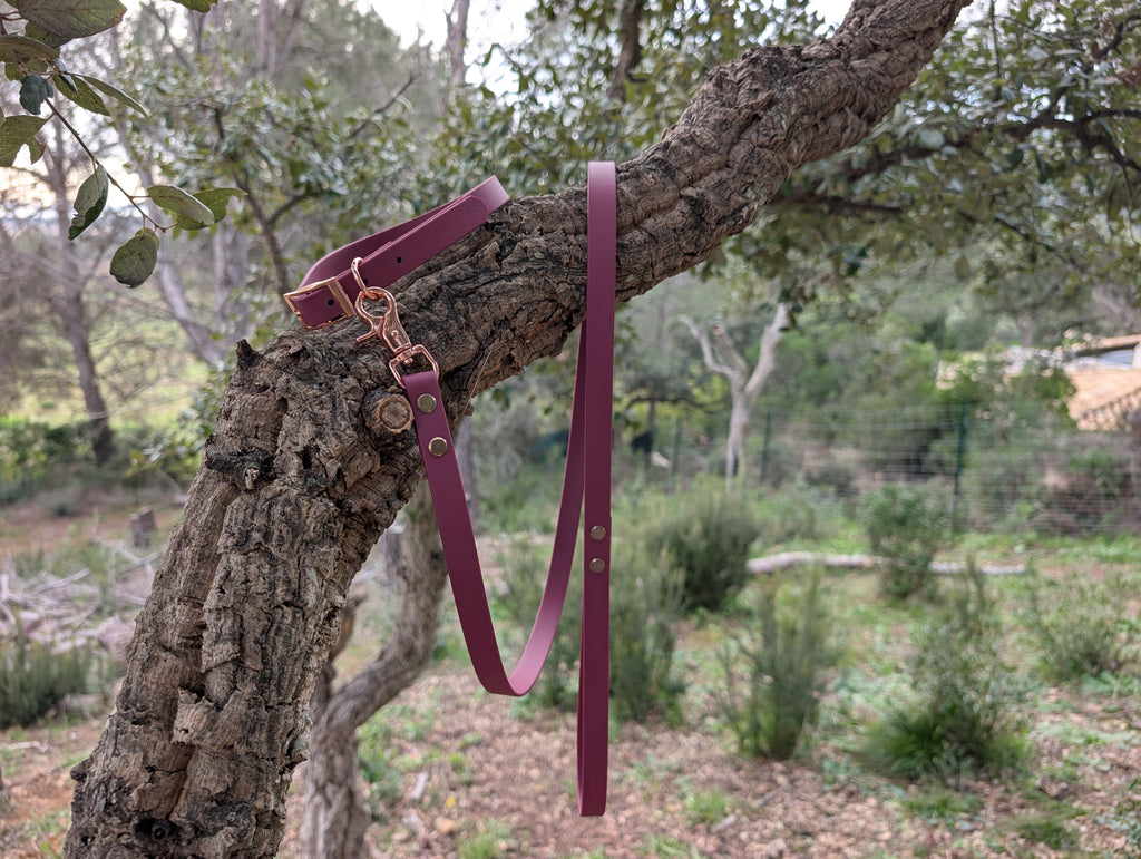 Simple handmade dog collar and leash set