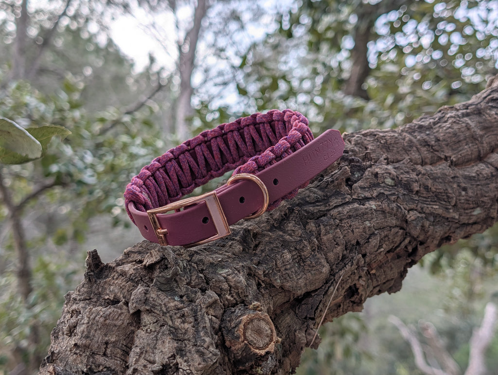 Collier Chien Tressé Paracorde Biothane - Artisanal Résistant Fait Main France