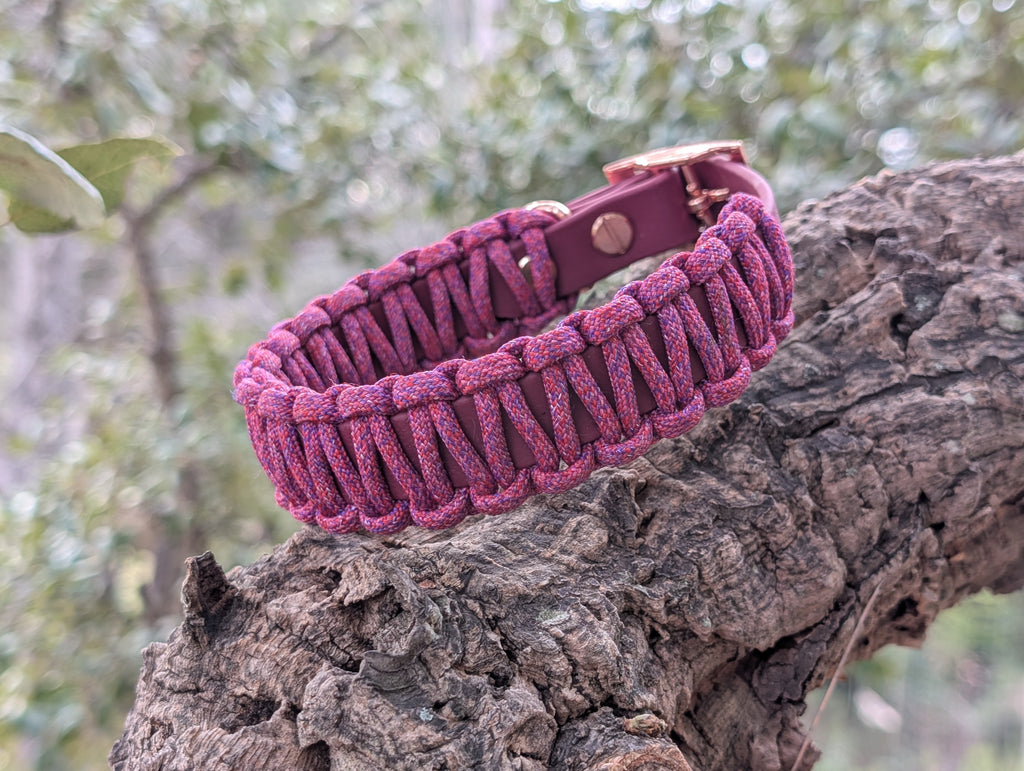 Collier Chien Tressé Paracorde Biothane - Artisanal Résistant Fait Main France