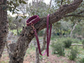 Ensemble Collier Laisse Tressé Chien Paracorde Biothane - Hypoallergénique Fait Main