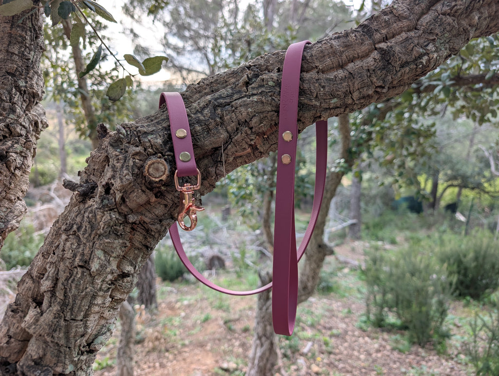 Simple handmade dog collar and leash set