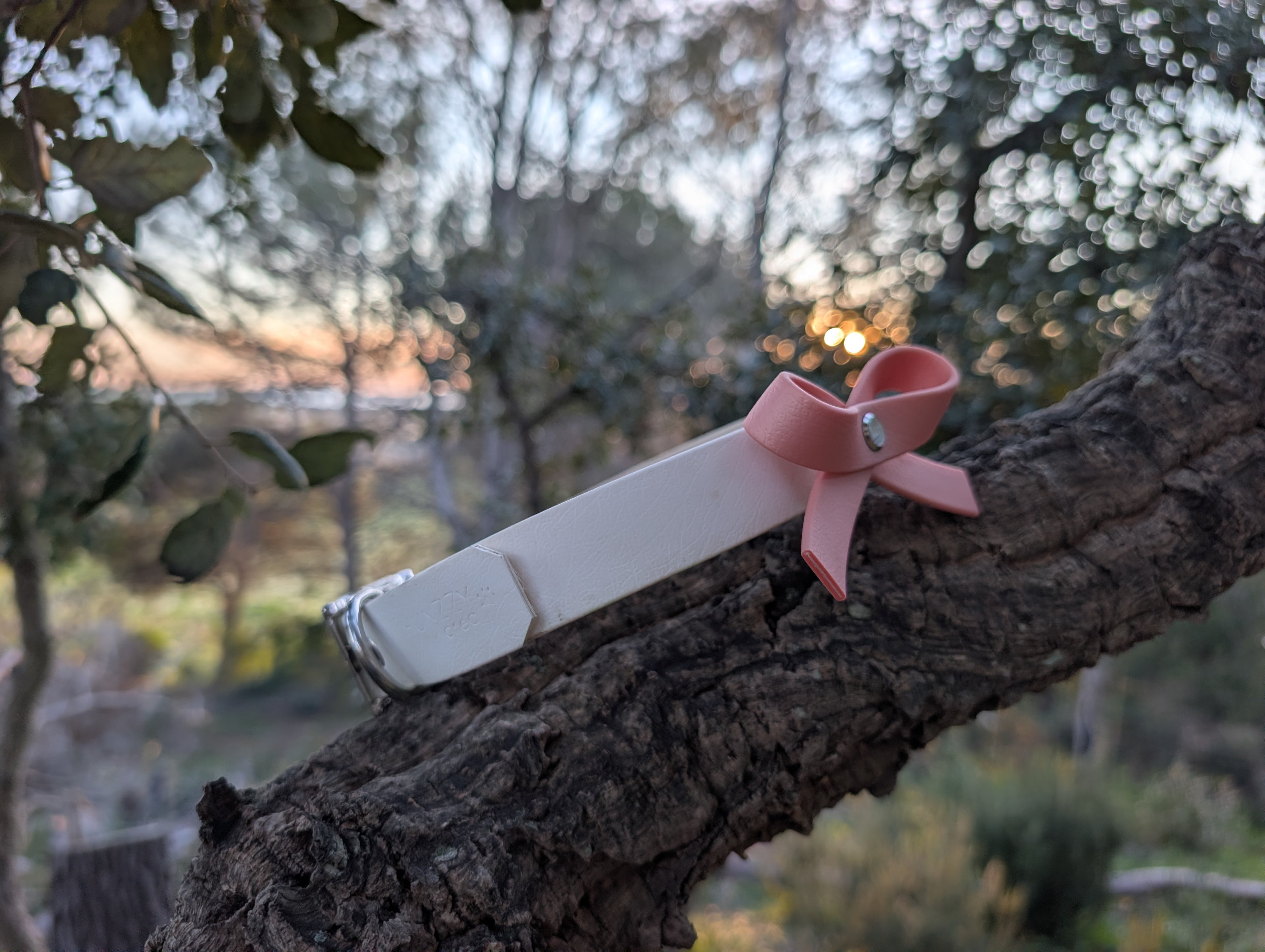 Ensemble Collier + Nœud Papillon en Biothane - Élégant et Imperméable