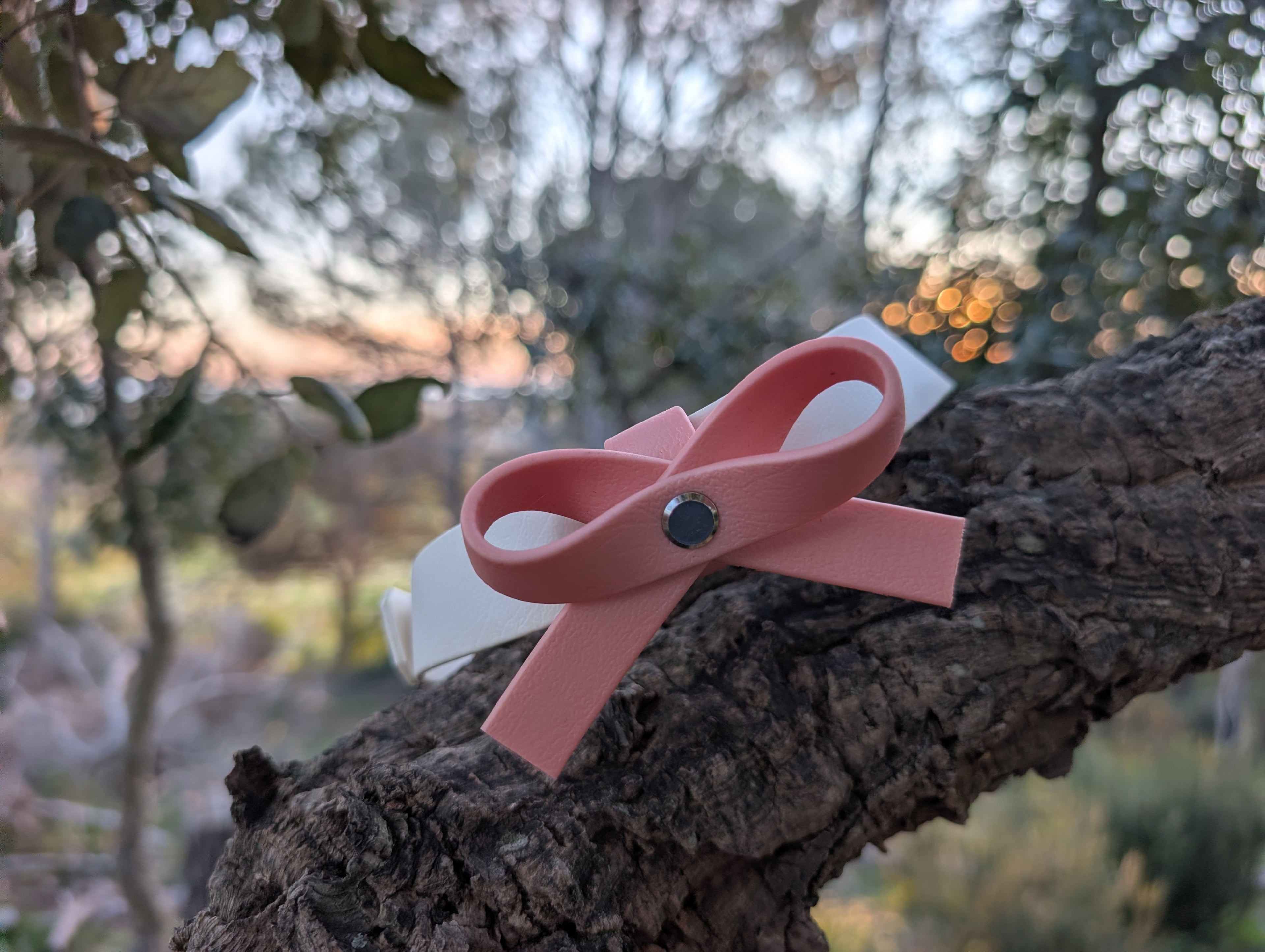 Ensemble Collier + Nœud Papillon en Biothane - Élégant et Imperméable