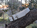 Collier Premium pour Chien - Fait Main en France