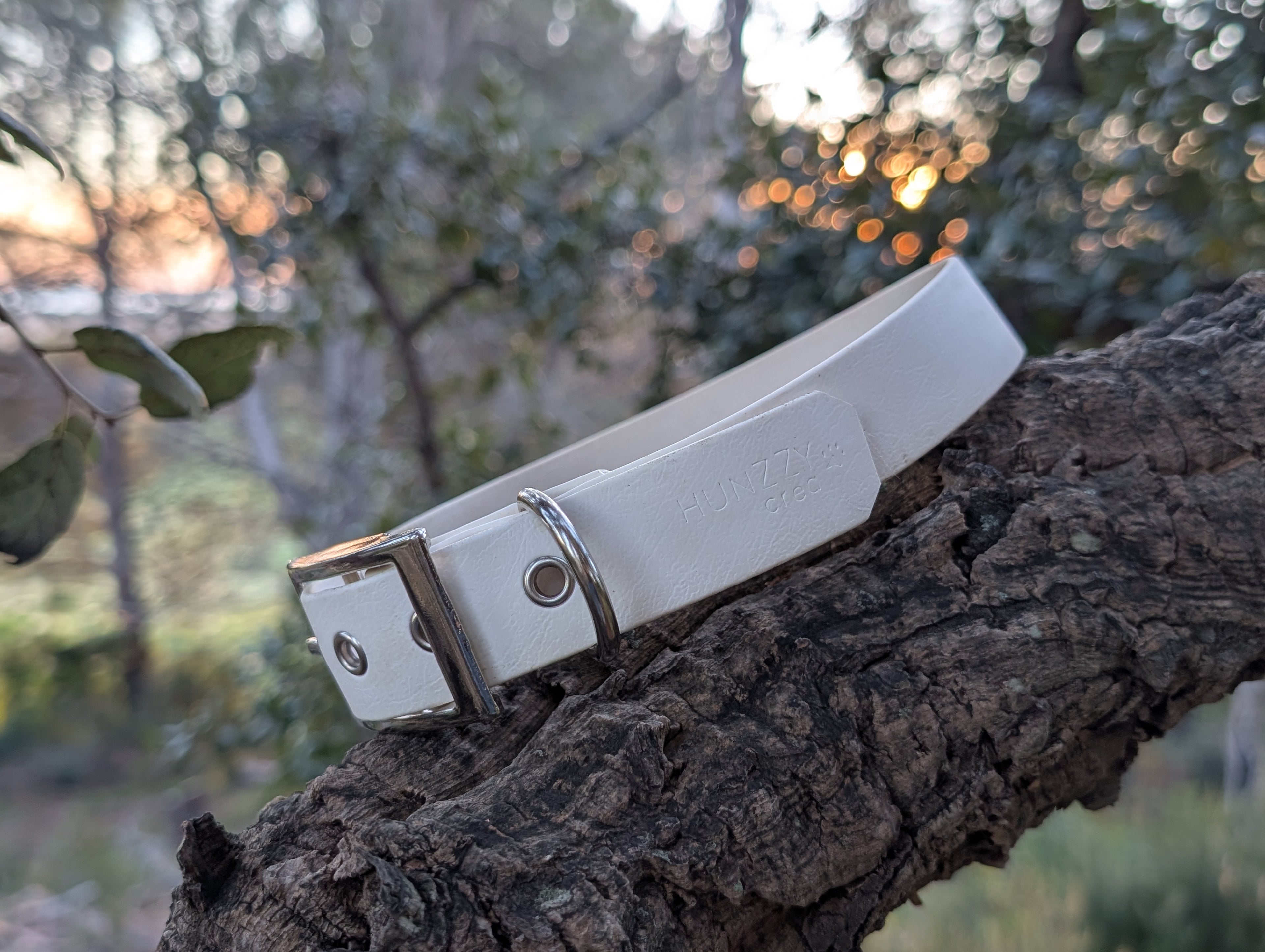 Collier Premium pour Chien - Fait Main en France