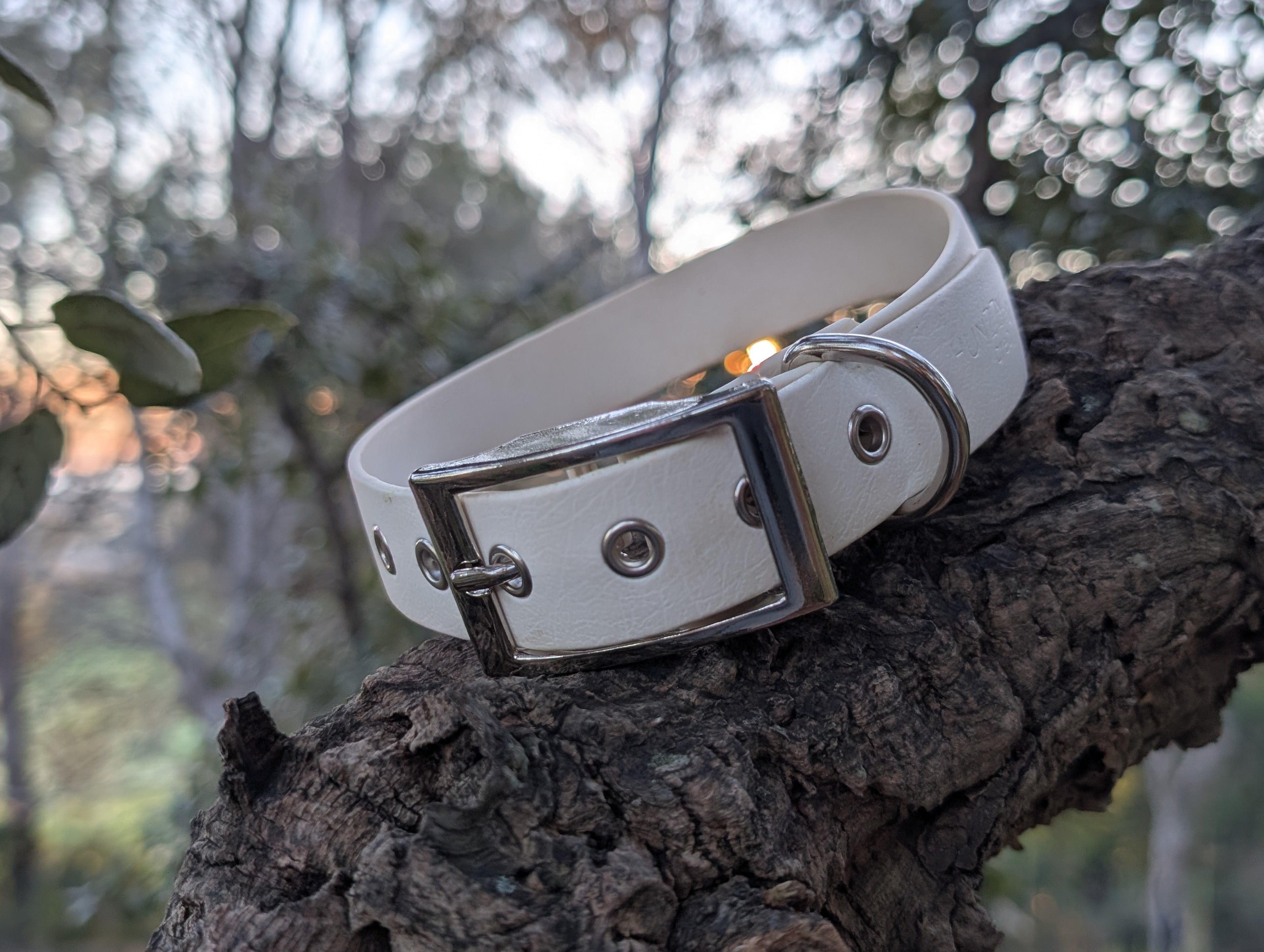 Collier Premium pour Chien - Fait Main en France