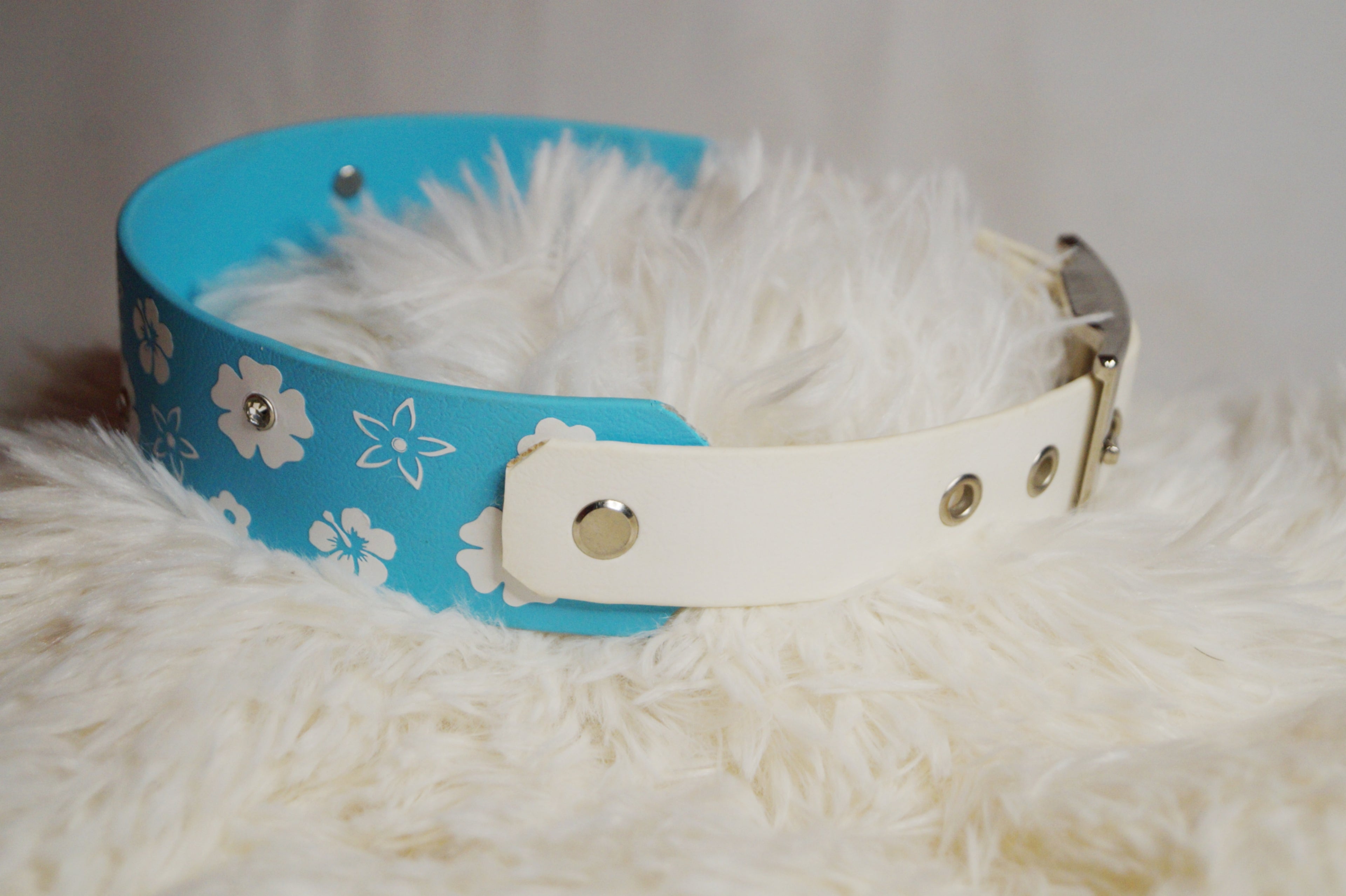 Collier Biothane Flocage Floral Chien - Imperméable Fait Main France