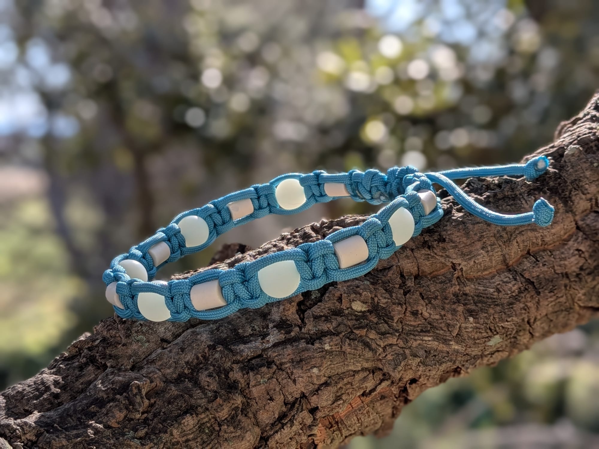 Collier Bleu pour Chien – Paracorde Tressé, Perles Fluorescentes & Antiparasitaires