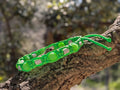 Collier Vert Fluo pour Chien – Paracorde Tressé, Perles Fluorescentes & Antiparasitaires