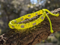 Collier Fluo pour Chien – Paracorde Tressé & Perles EM Antiparasitaires